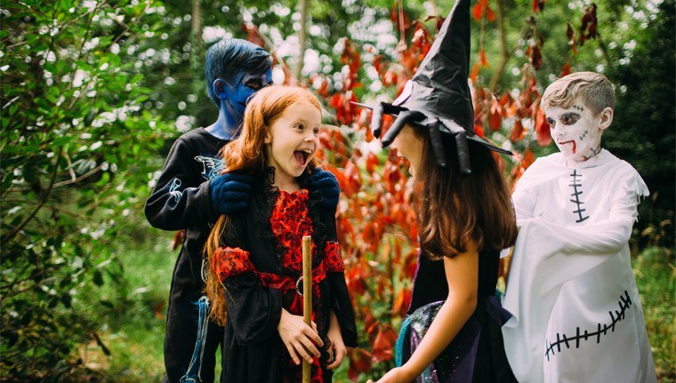 Halloween Holidays Halloween Holidays